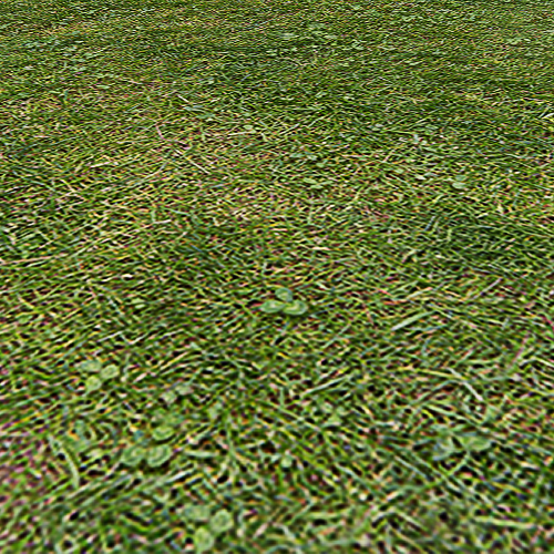 Grass Texture 1