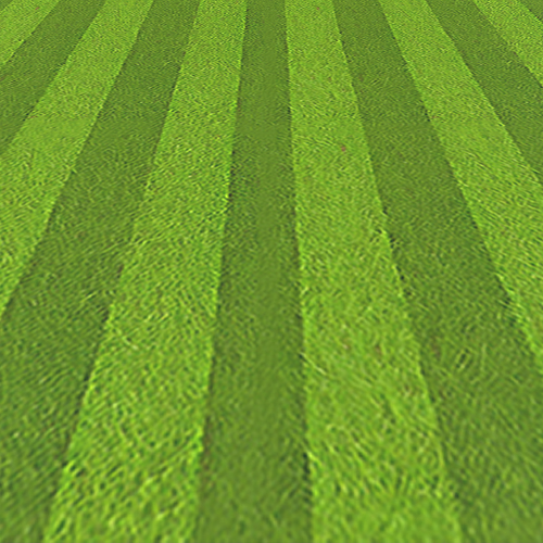 Grass Texture 2