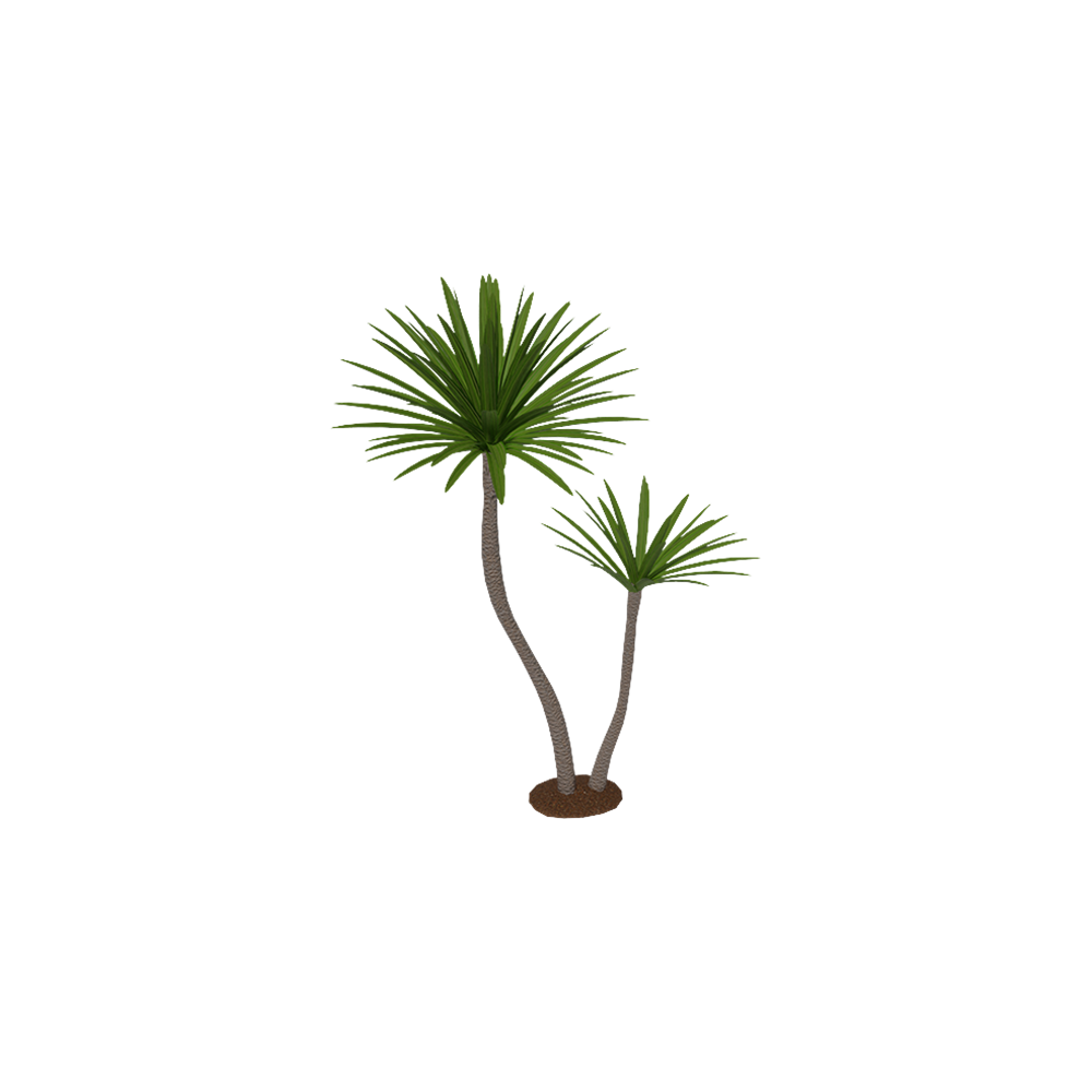 Pandan Bali L