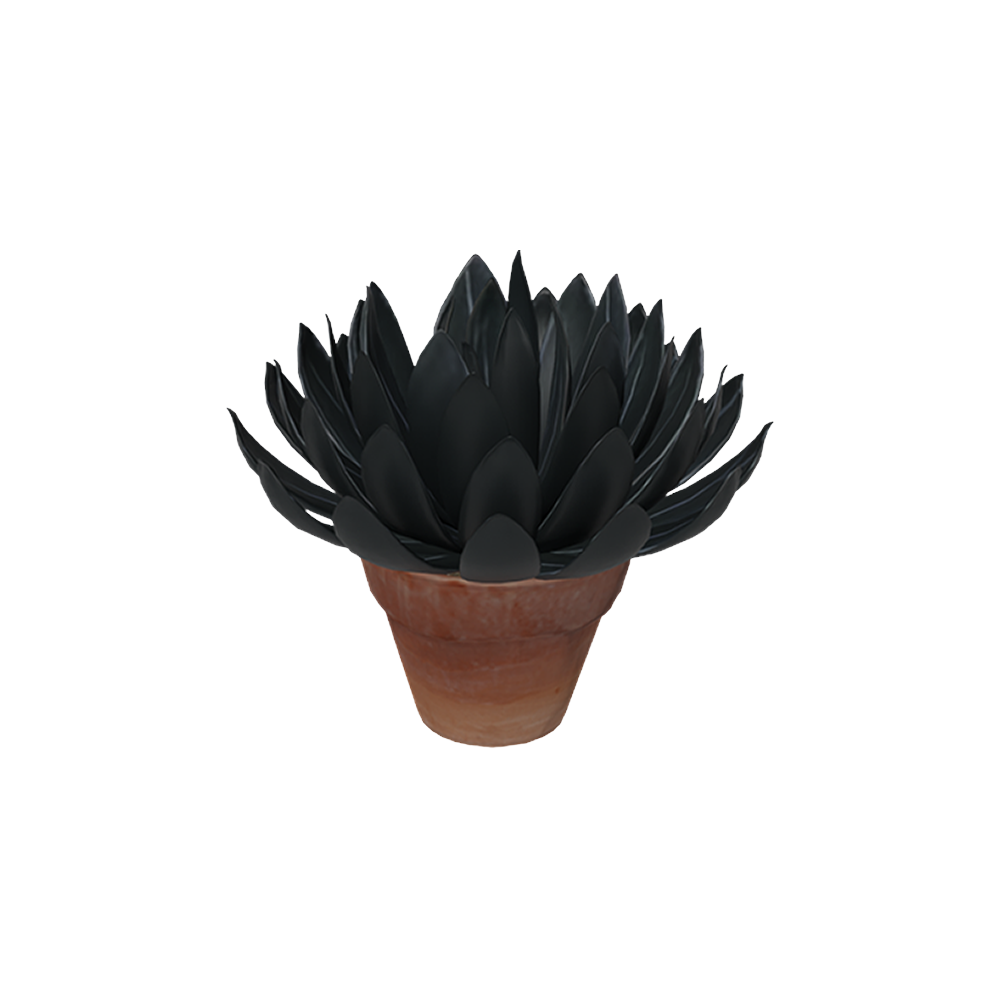 Agave King