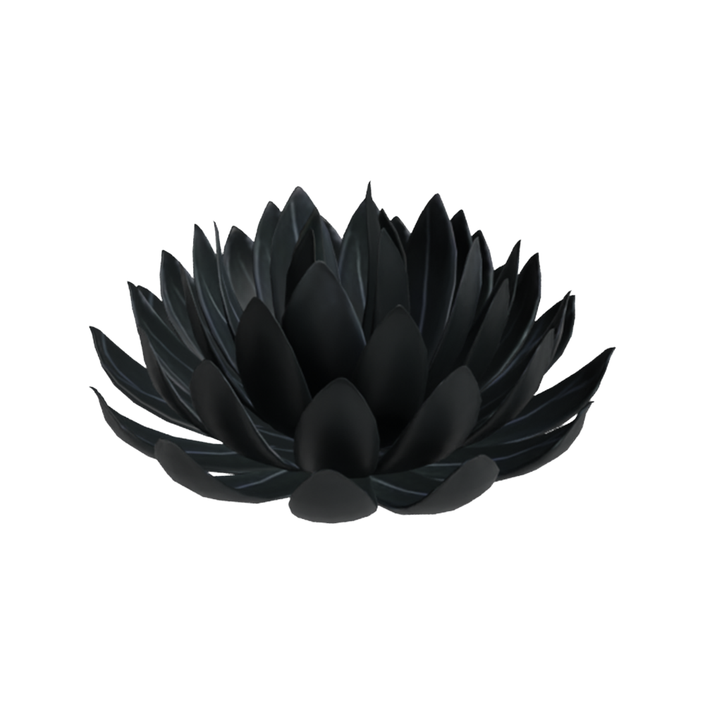 Agave King