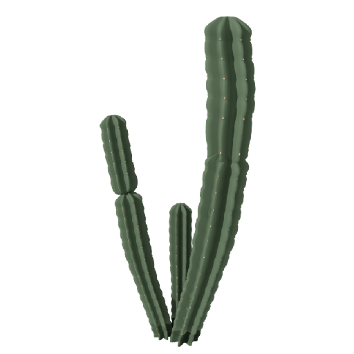 Kaktus Koboi