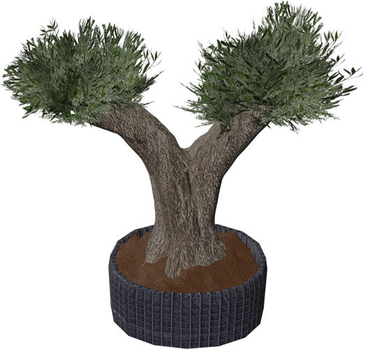 Zaitun Special - Double Trunk