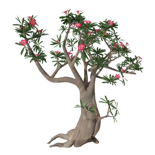 Kamboja Pink